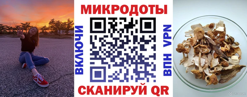 Псилоцибиновые грибы Psilocybine cubensis  Купить где  Новозыбков 